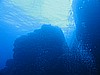 IMG_3858.JPG