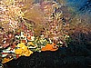 IMG_3859.JPG