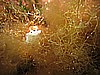 IMG_3860.JPG