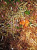 IMG_3865.JPG