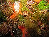 IMG_3874.JPG