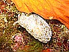 IMG_3879.JPG