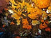 IMG_3880.JPG