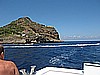 IMG_3882.JPG