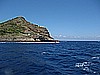 IMG_3884.JPG
