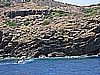 IMG_3888.JPG