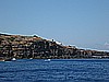 IMG_3890.JPG