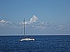 IMG_3892.JPG