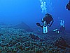 IMG_3894.JPG