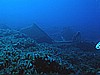 IMG_3895.JPG