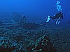 IMG_3896.JPG