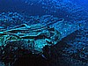 IMG_3898.JPG