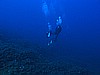IMG_3899.JPG