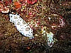 IMG_3904.JPG