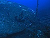 IMG_3908.JPG