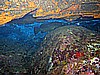 IMG_3911.JPG