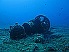 IMG_3919.JPG