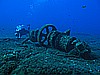 IMG_3921.JPG