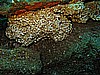 IMG_3922.JPG