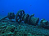 IMG_3923.JPG
