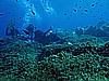 IMG_3924.JPG