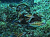 IMG_3930.JPG
