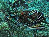 IMG_3931.JPG