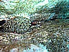 IMG_3934.JPG