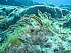 IMG_3936.JPG
