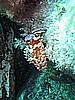 IMG_3938.JPG