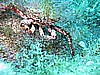 IMG_3948.JPG