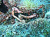 IMG_3950.JPG