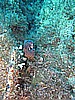 IMG_3953.JPG