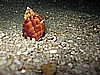 IMG_3971.JPG