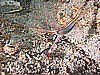 IMG_3972.JPG