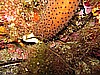 IMG_3984.JPG