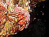 IMG_3990.JPG