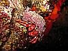 IMG_3991.JPG