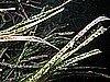 IMG_3993.JPG