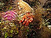 IMG_3995.JPG