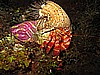 IMG_3997.JPG