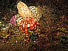 IMG_4000.JPG