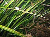 IMG_4004.JPG