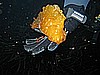IMG_4010.JPG
