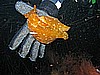 IMG_4012.JPG