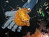 IMG_4013.JPG