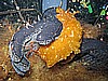 IMG_4014.JPG