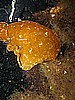 IMG_4015.JPG