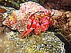 IMG_4034.JPG
