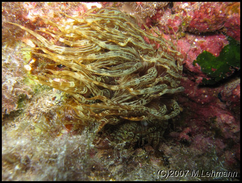 IMG_4080.JPG